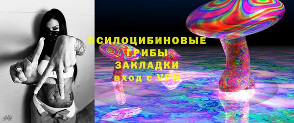 шишки Михайловск